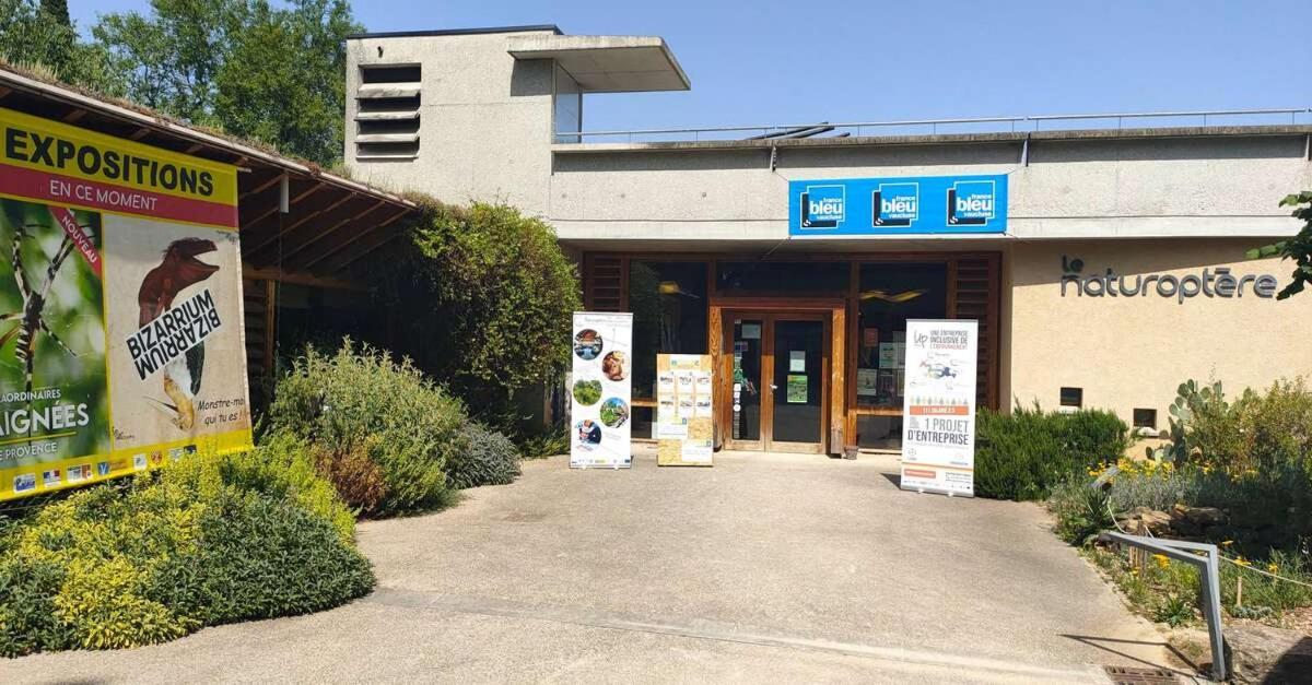 La Grotte Apartment Serignan-du-Comtat Bagian luar foto
